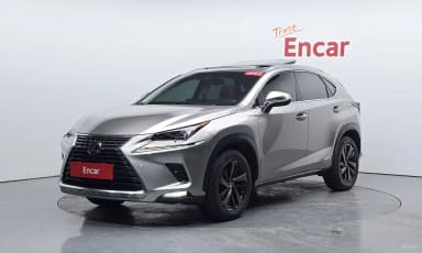 NX300h