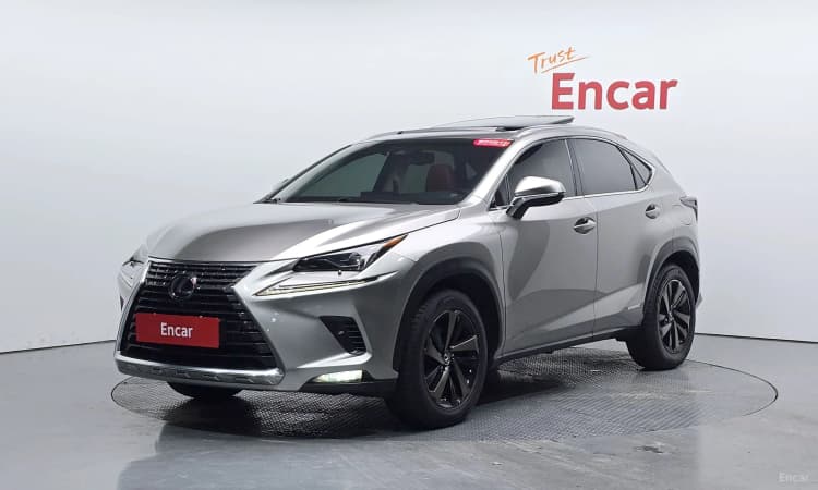 NX300h