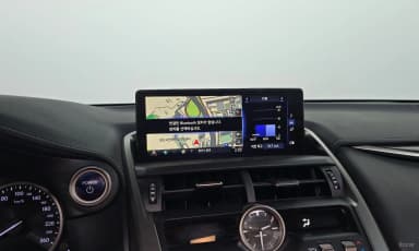 NX300h