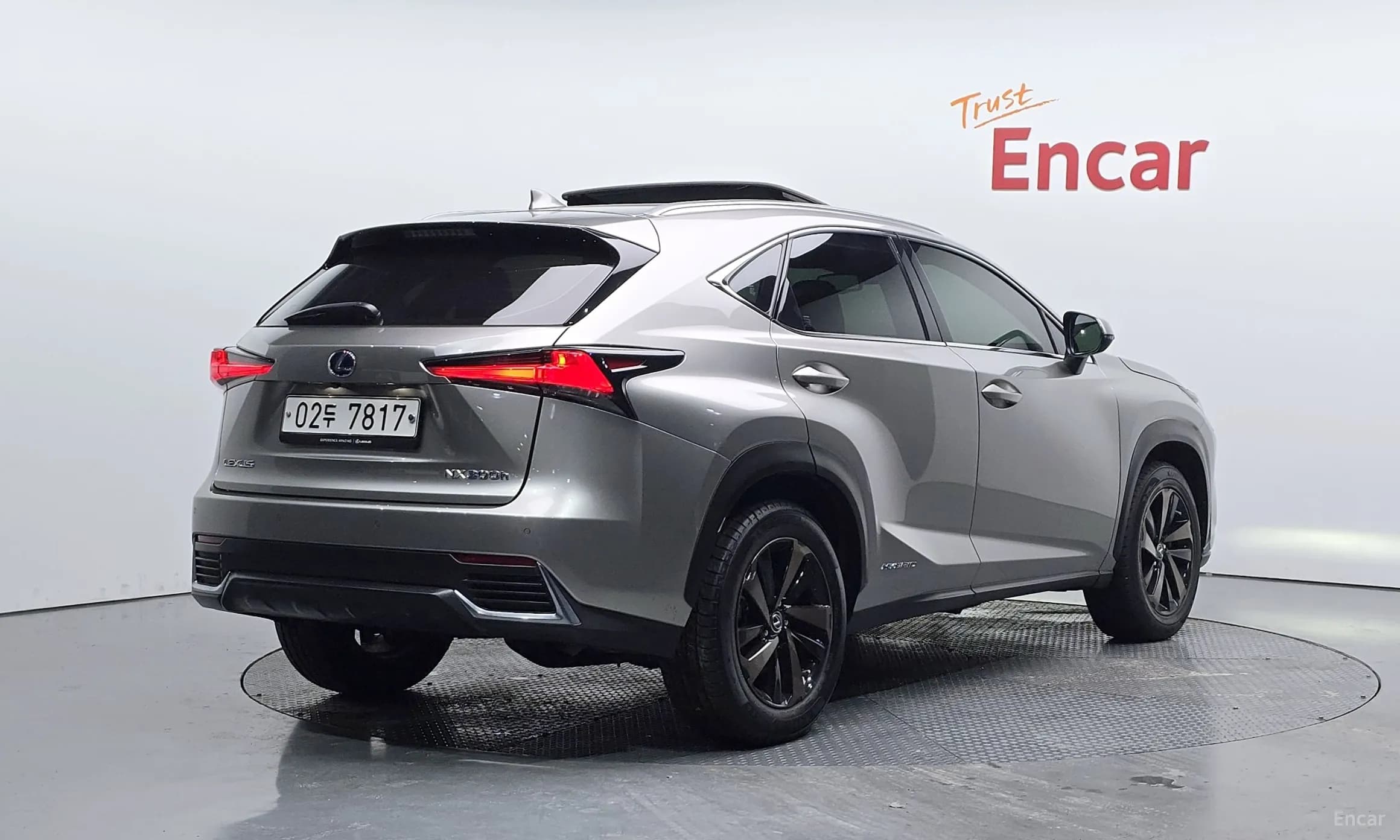 NX300h