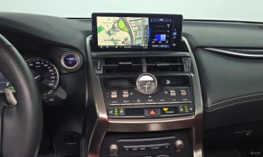 NX300h