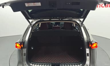 NX300h