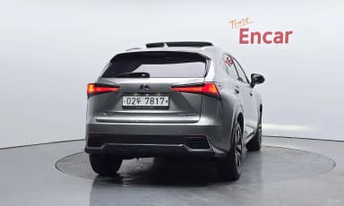 NX300h