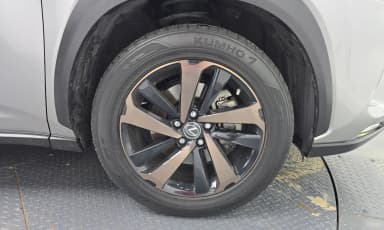 NX300h