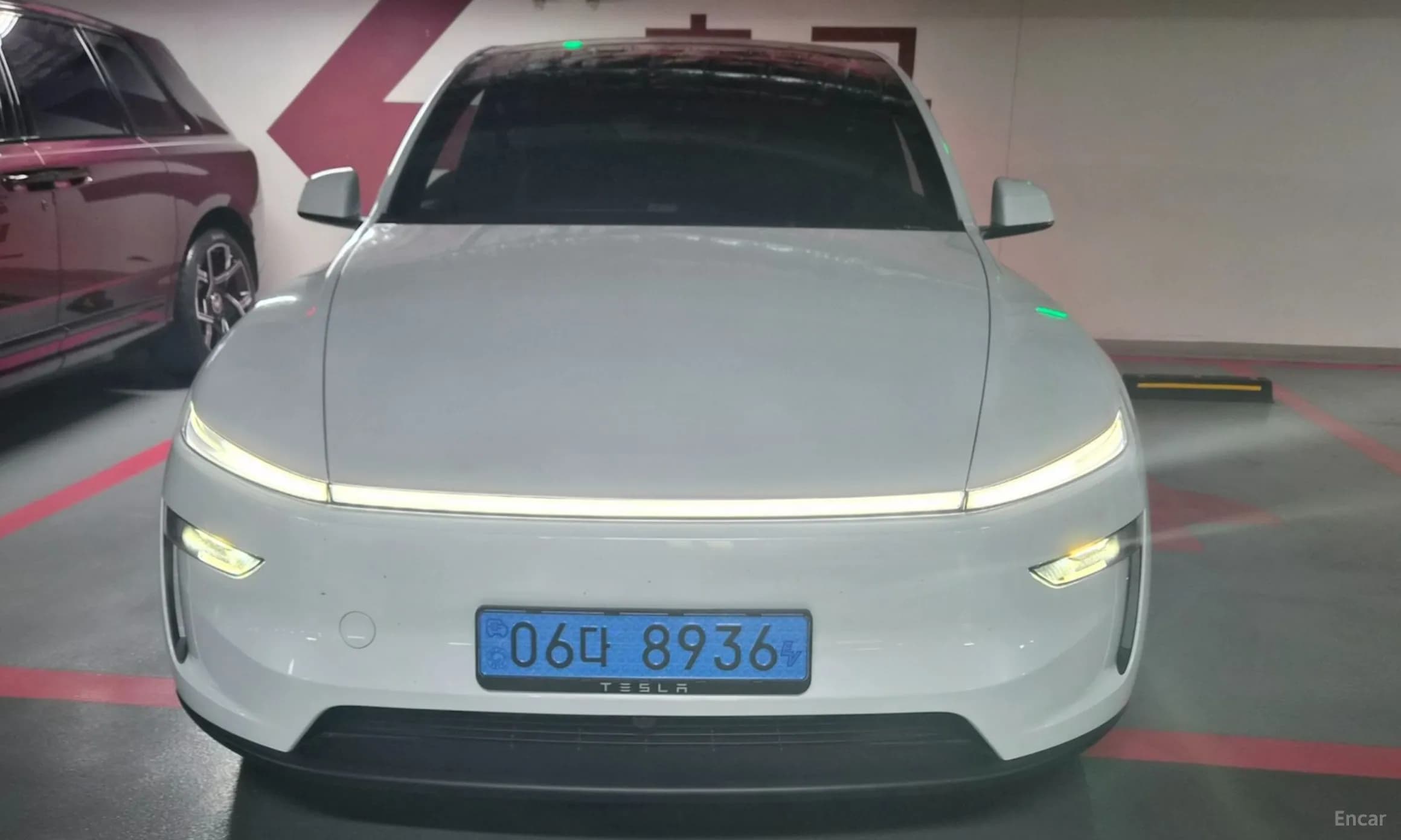 Model Y