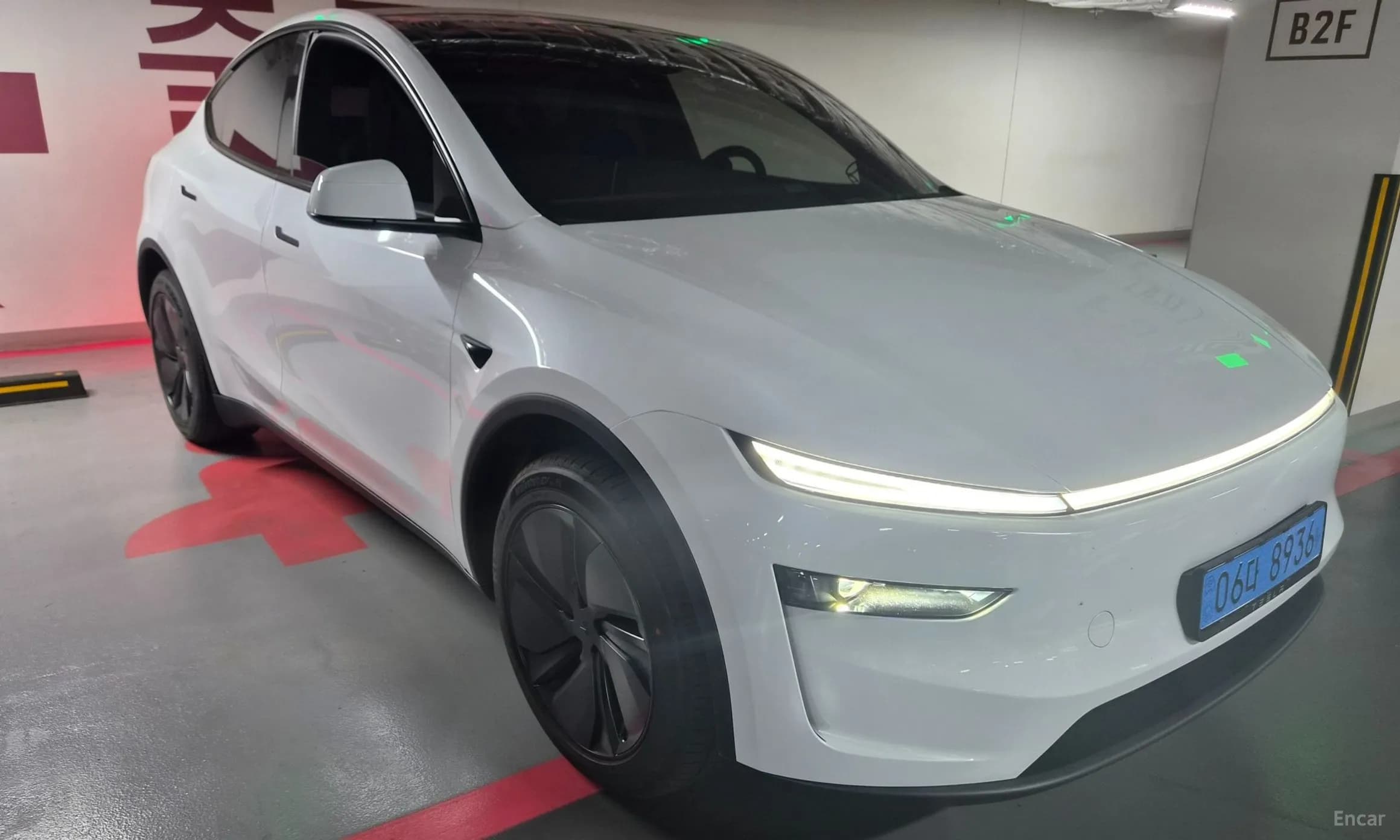 Model Y
