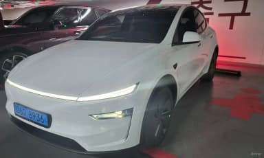 Model Y