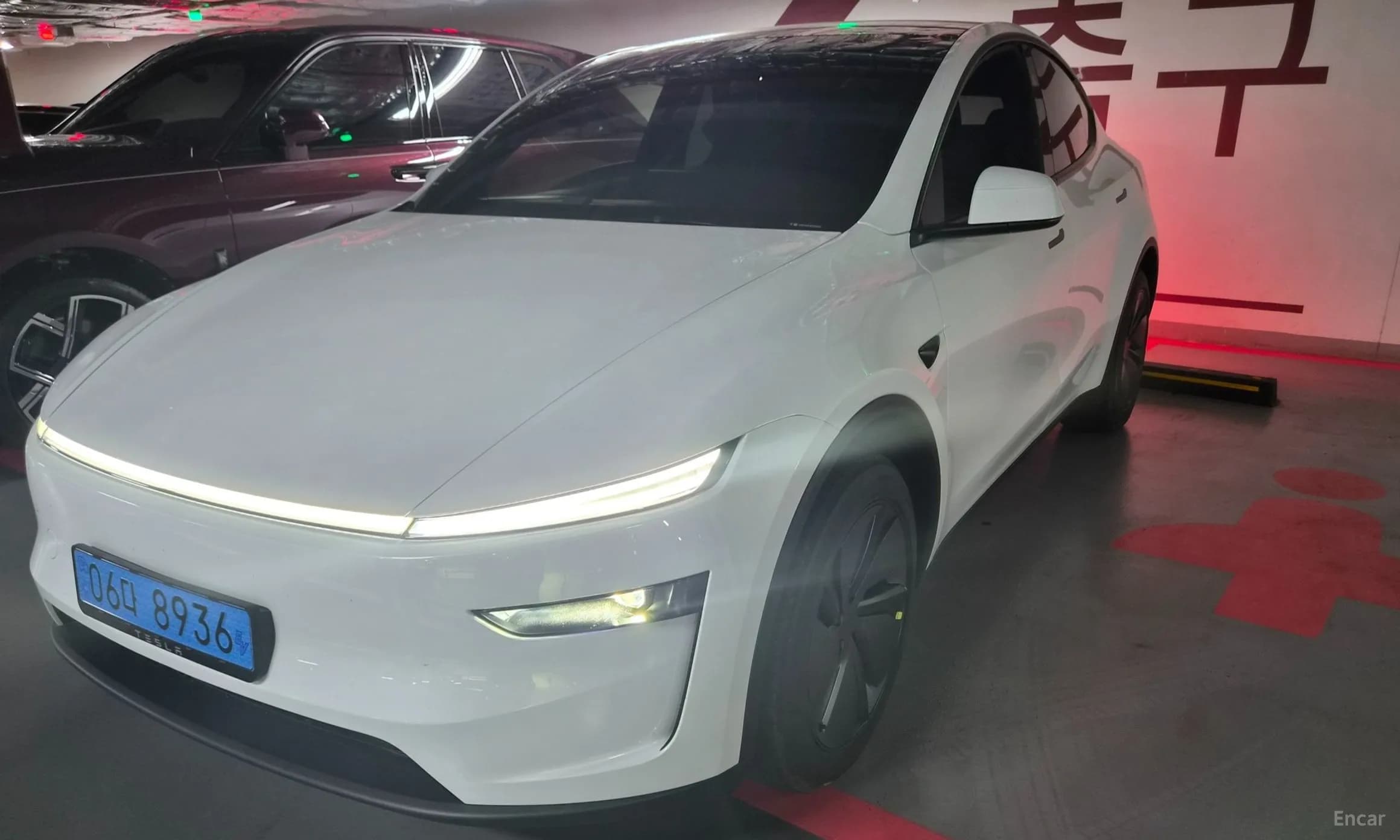 Model Y