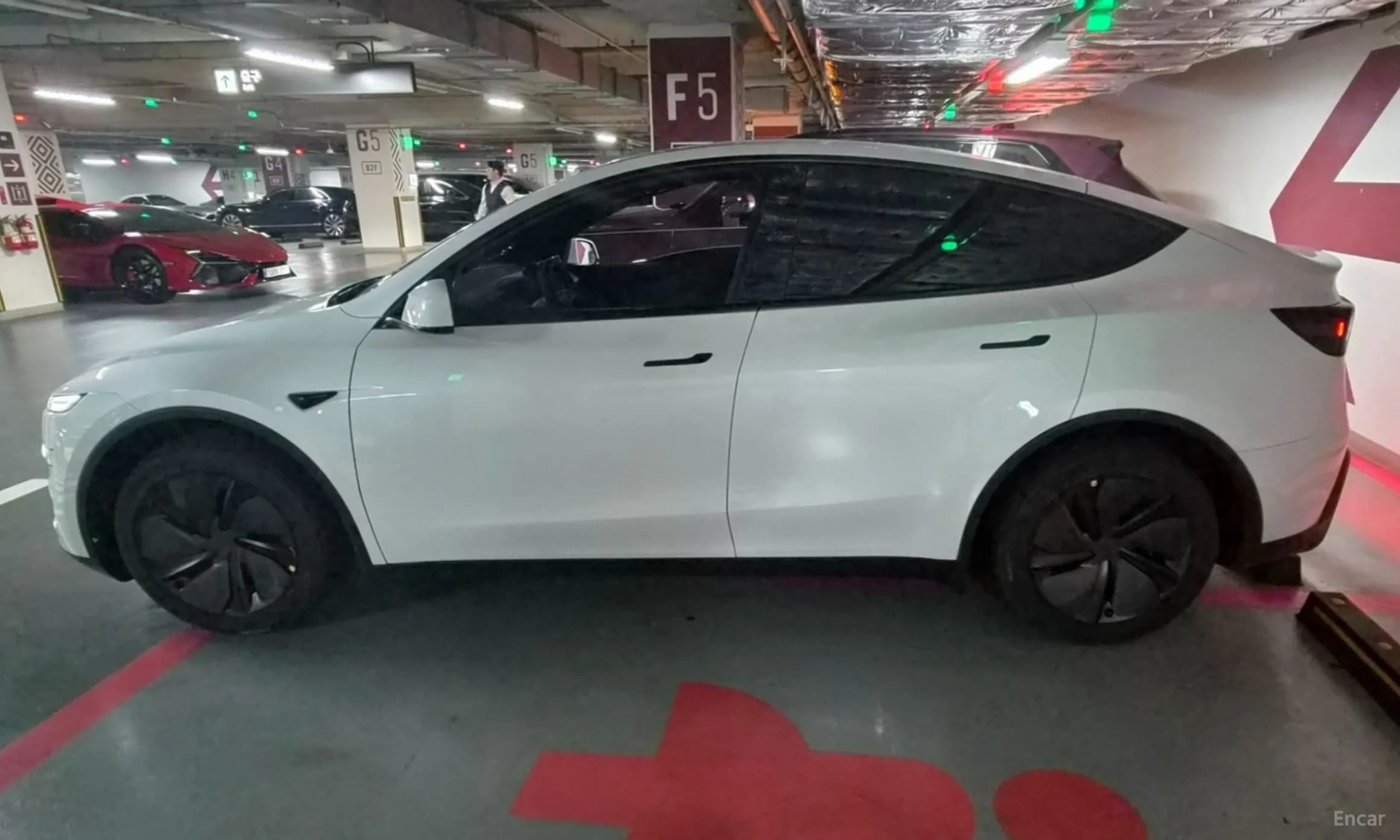 Model Y