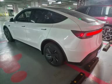 Model Y