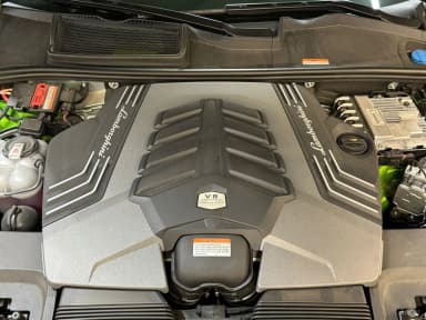 Urus