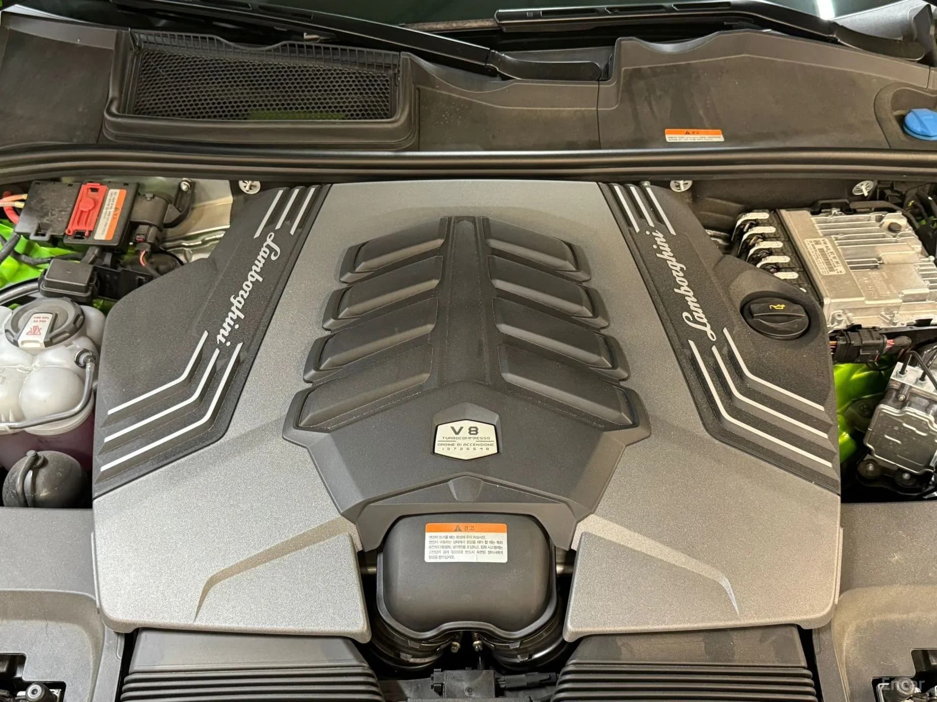 Urus