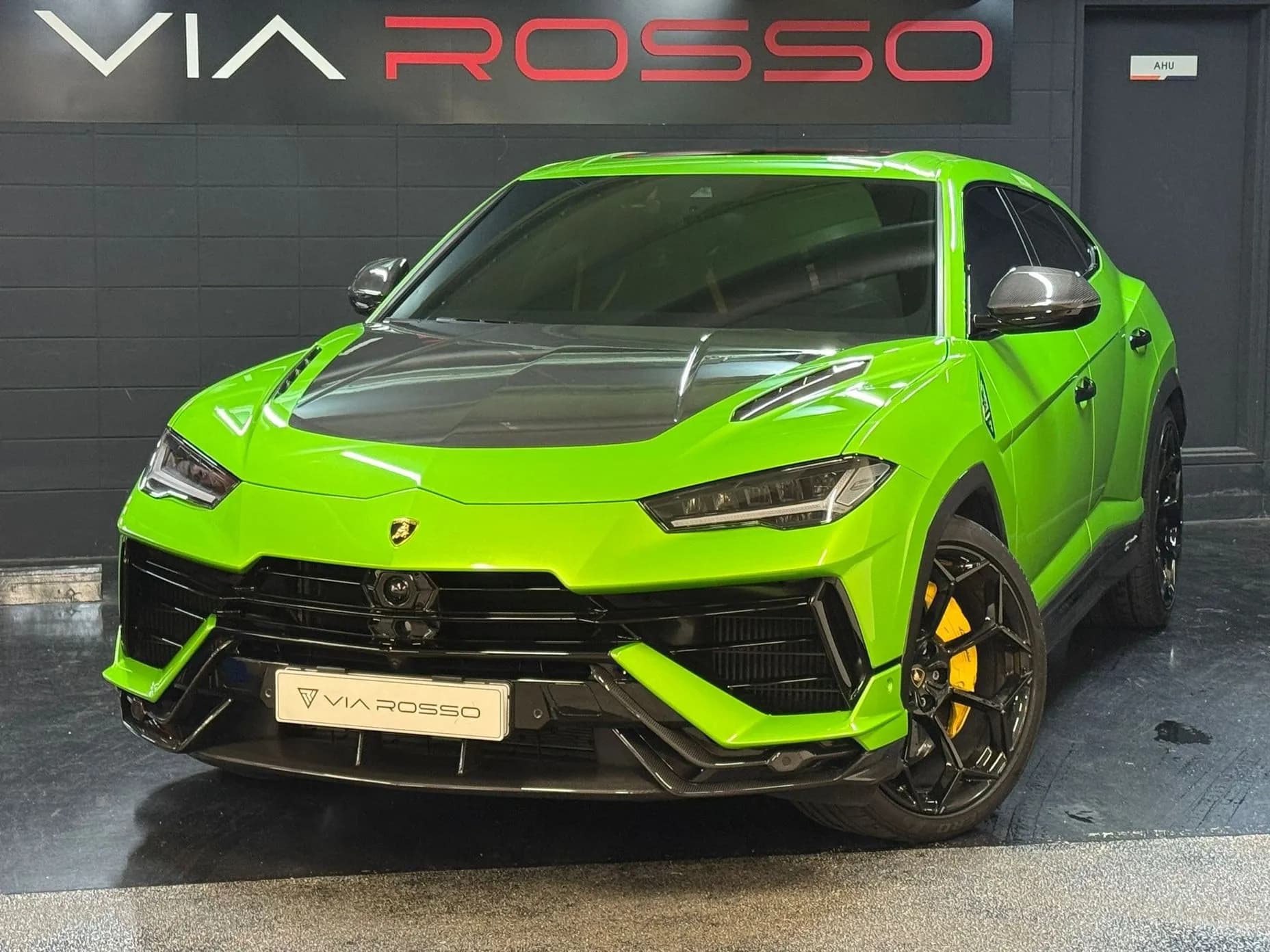 Urus