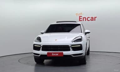 Cayenne (PO536)