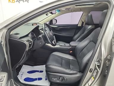 NX300h