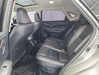 NX300h