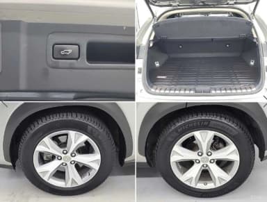 NX300h