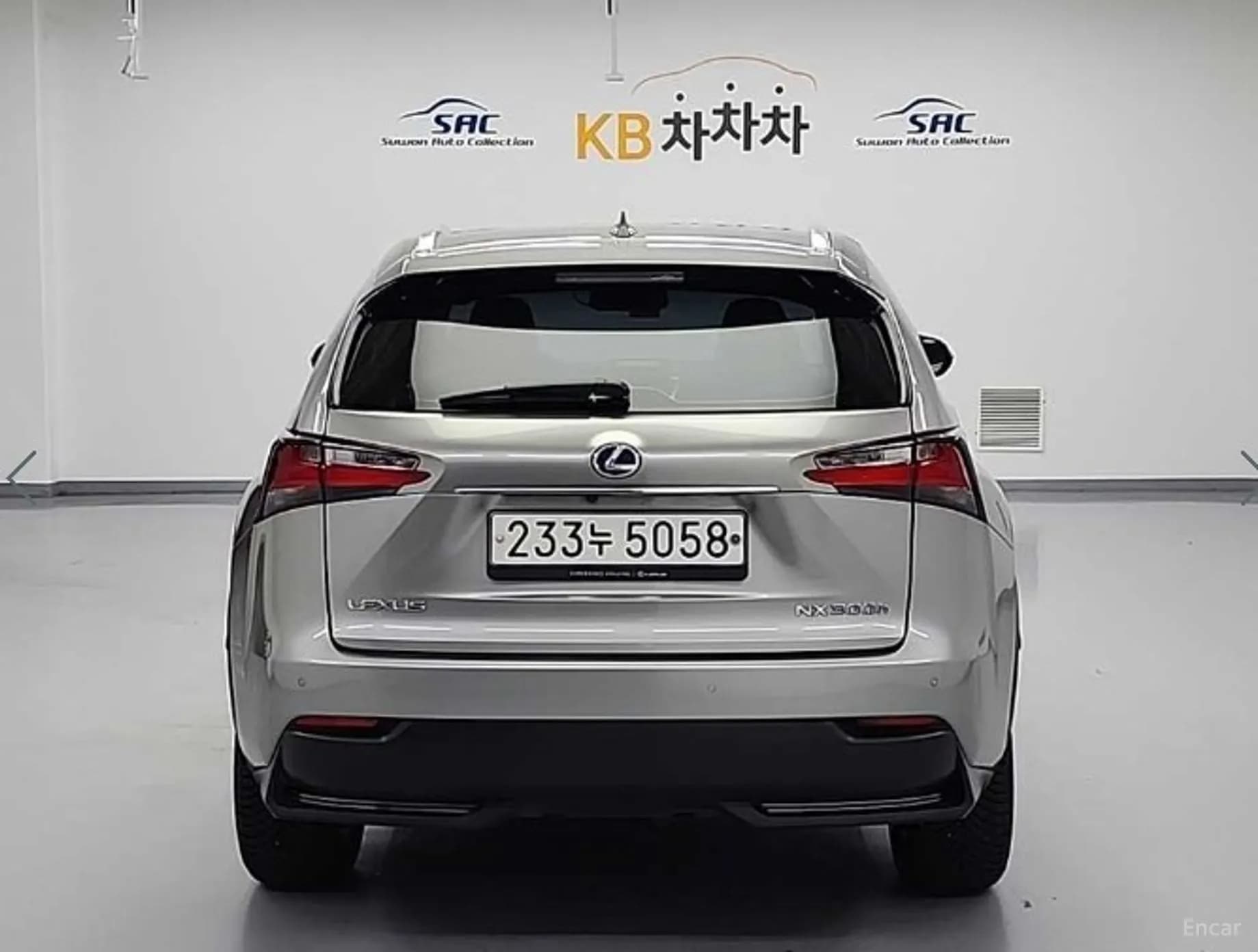 NX300h