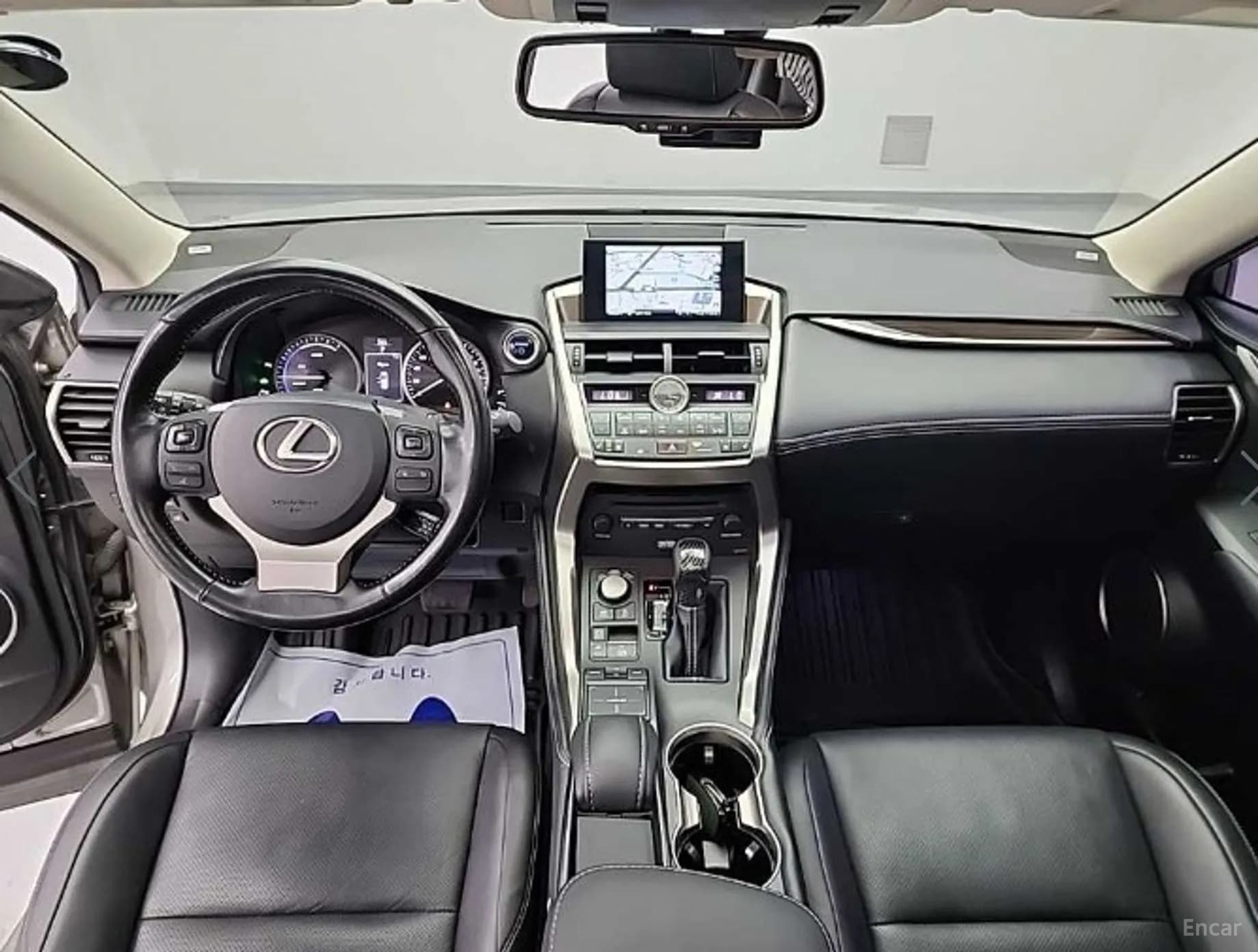 NX300h