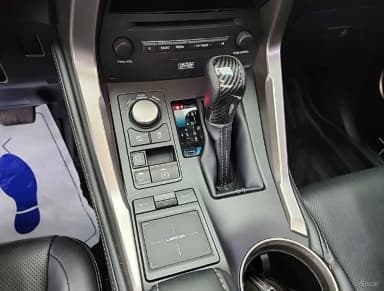NX300h