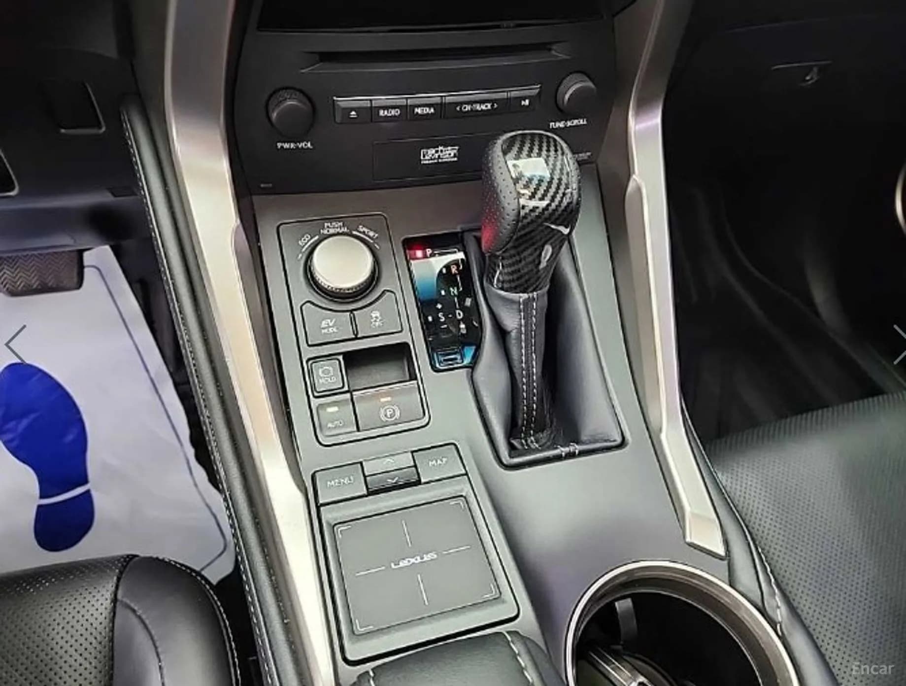 NX300h