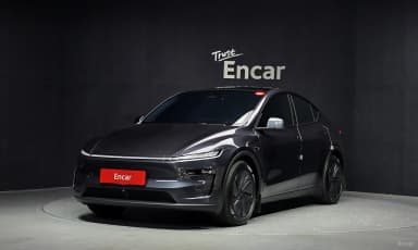 Model Y