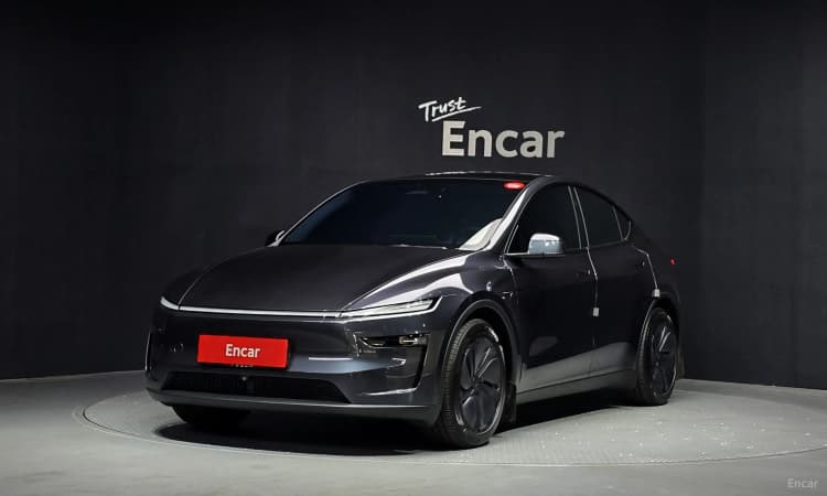Model Y