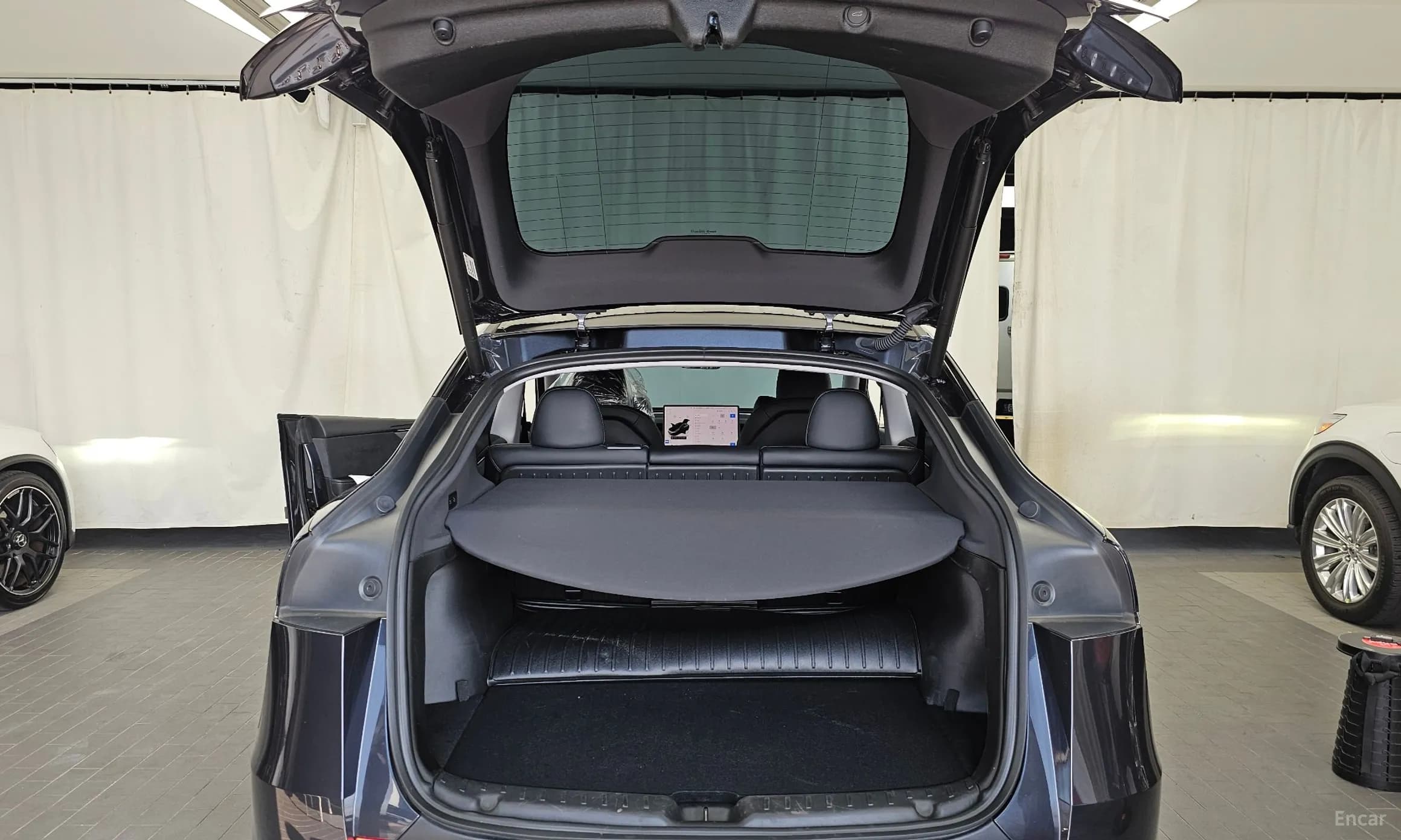 Model Y