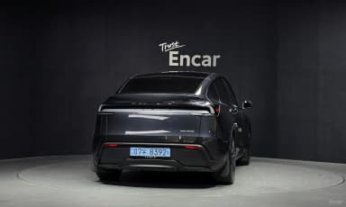 Model Y