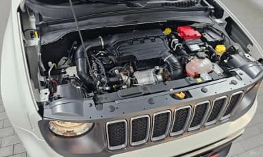 Renegade