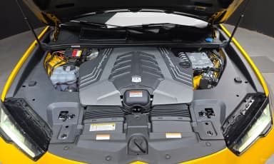 Urus
