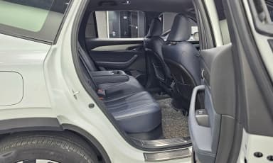 Grang Koleos