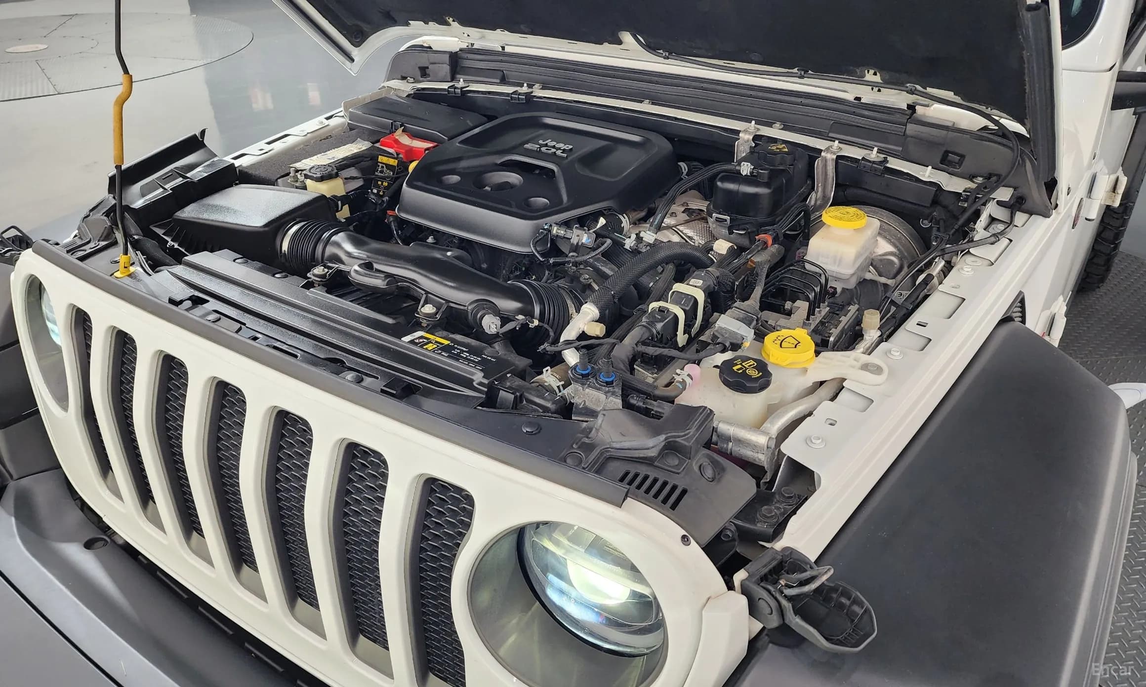 Wrangler (JL)