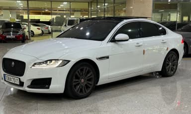 XF (x260)