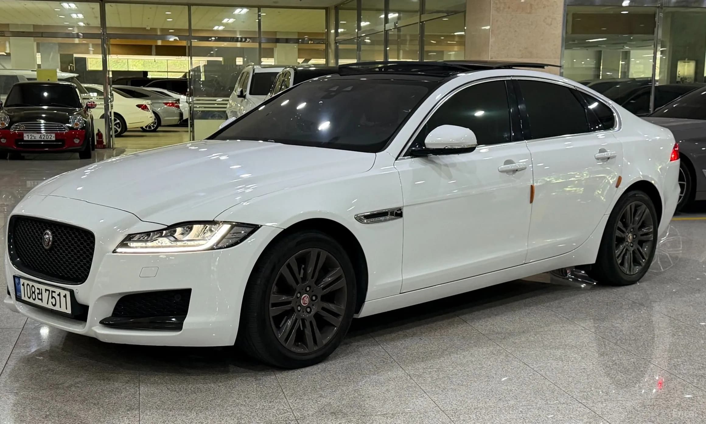 XF (x260)