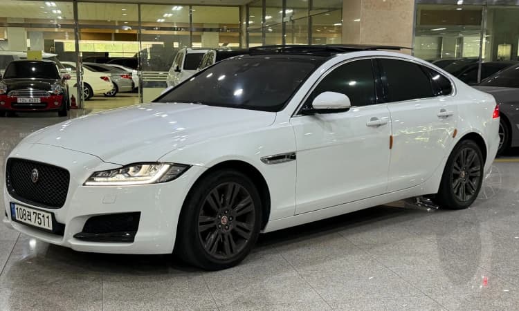 XF (x260)