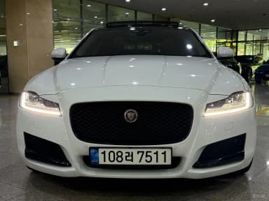 XF (x260)