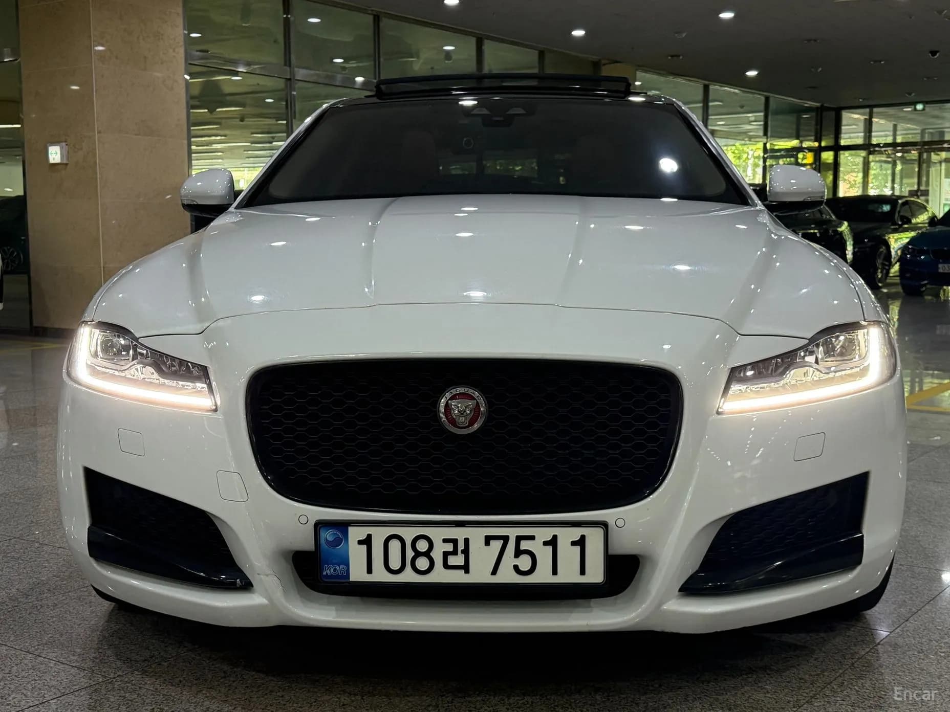 XF (x260)