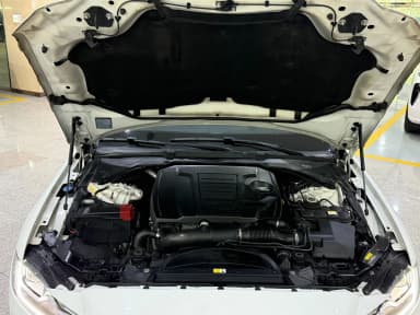XF (x260)