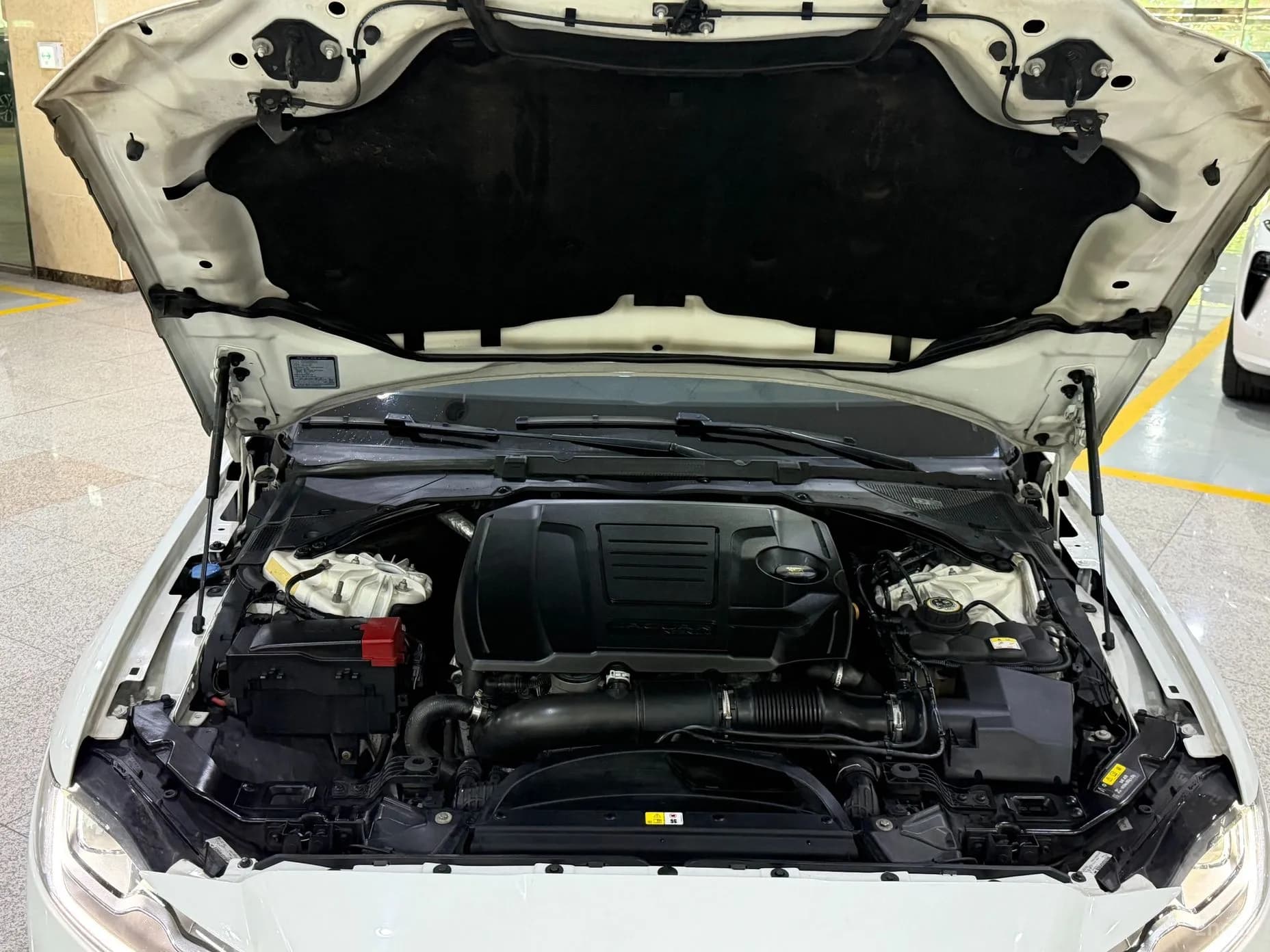 XF (x260)