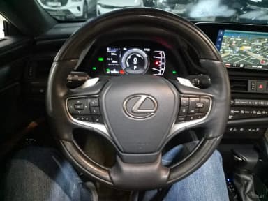 ES300h 7th Generation