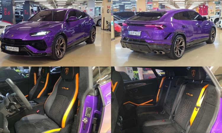 Urus