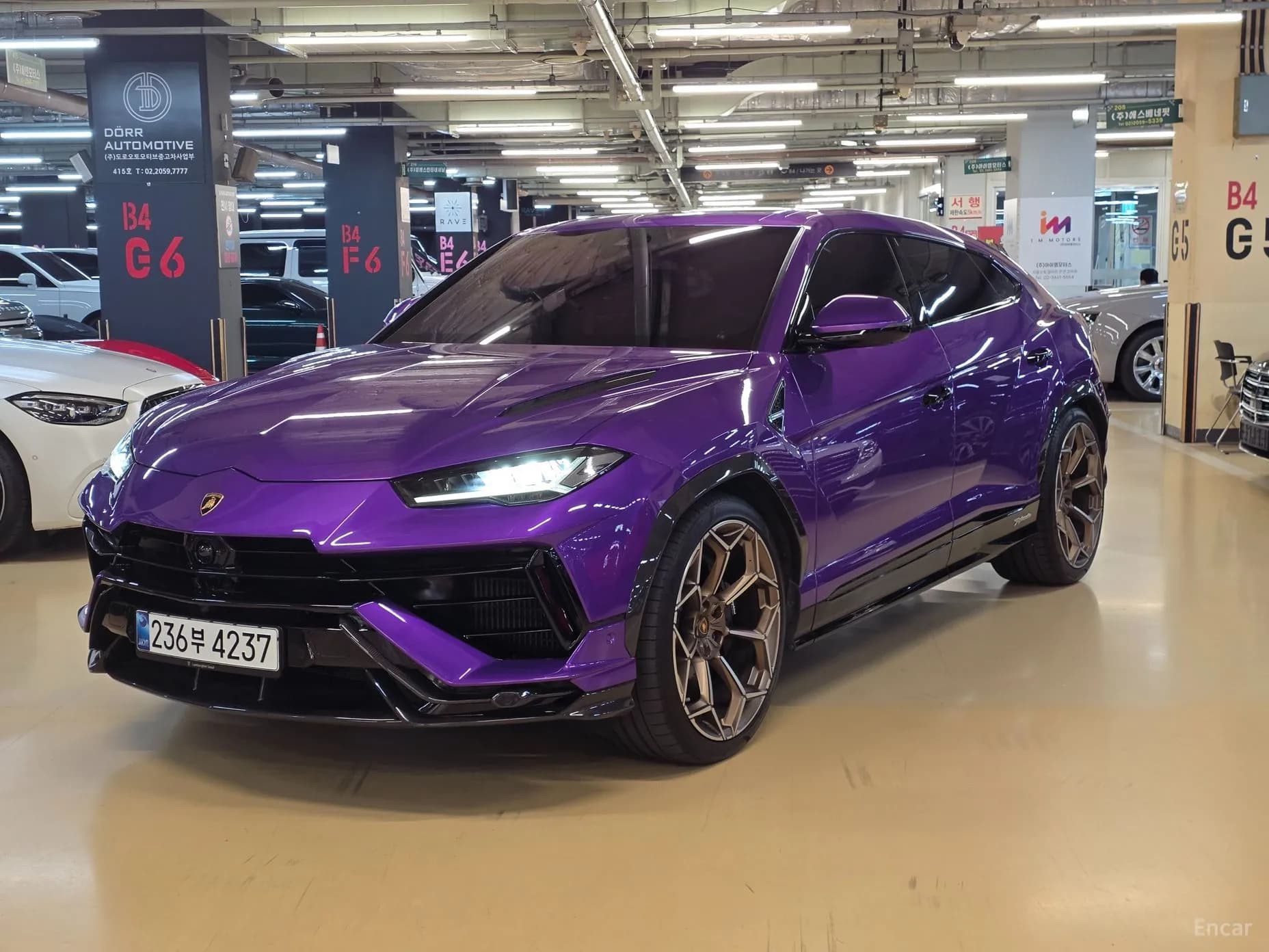 Urus