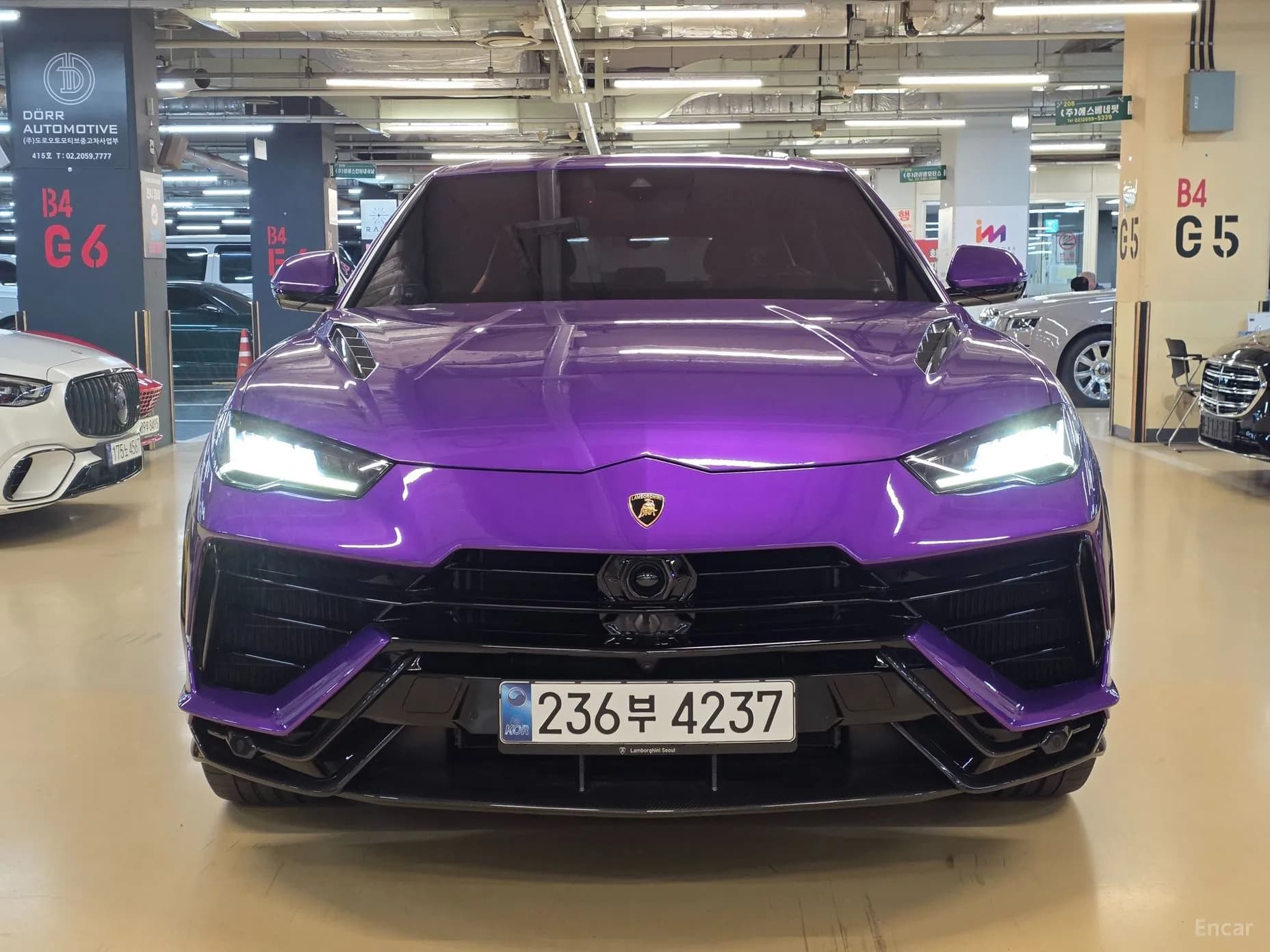 Urus