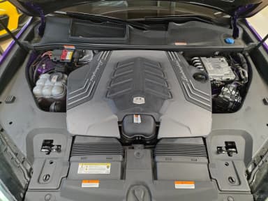 Urus