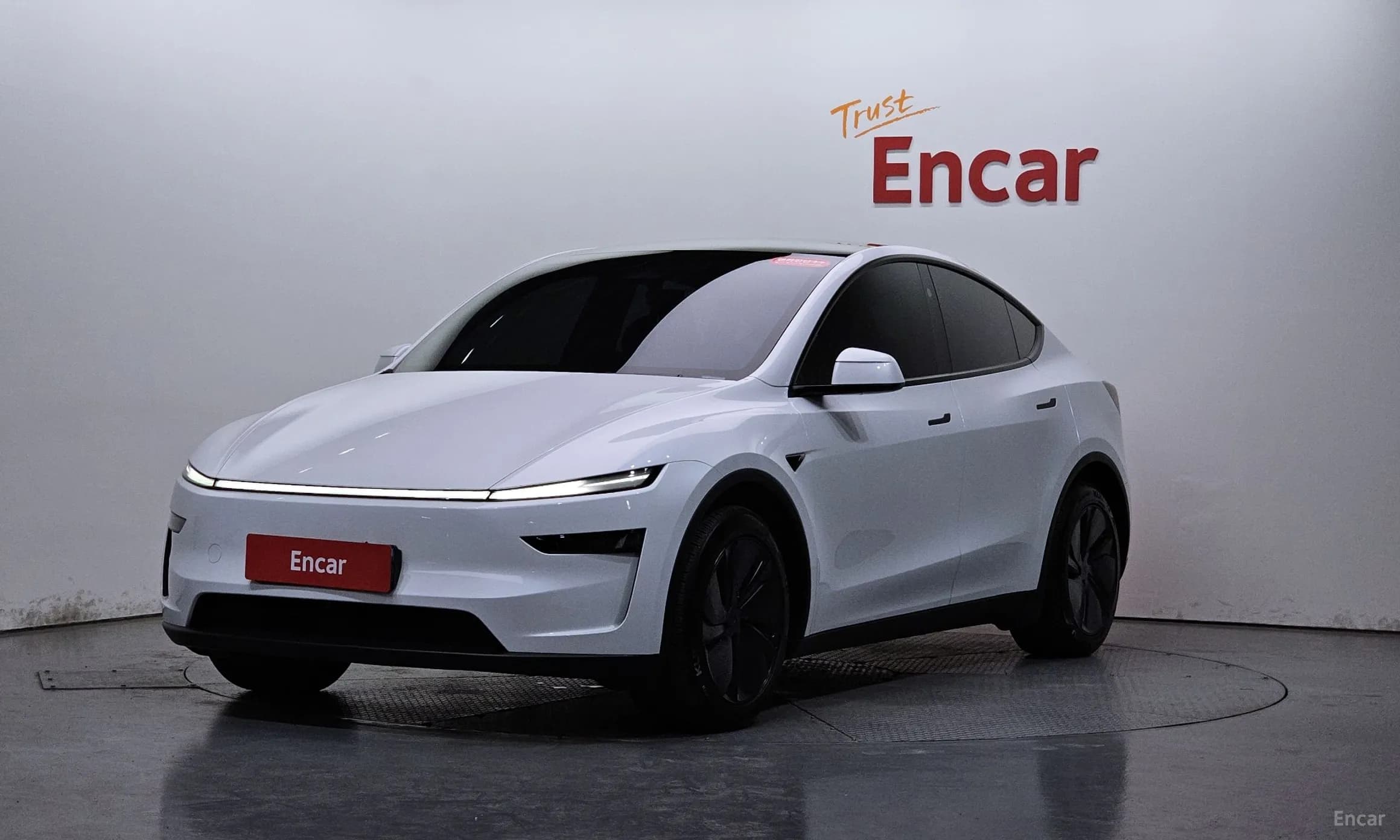 Model Y