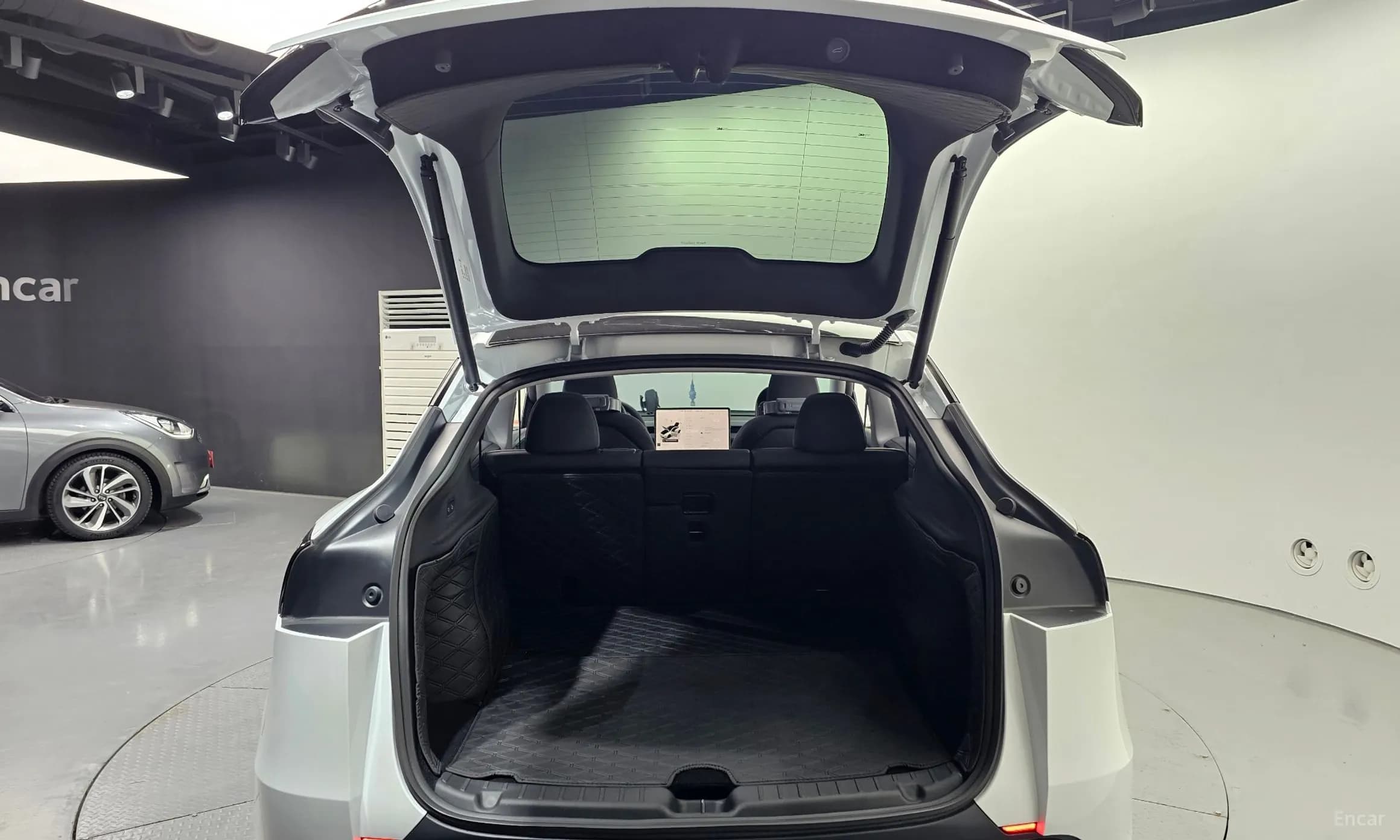Model Y