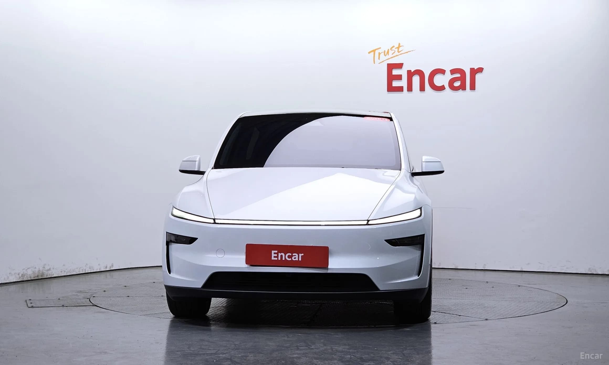 Model Y