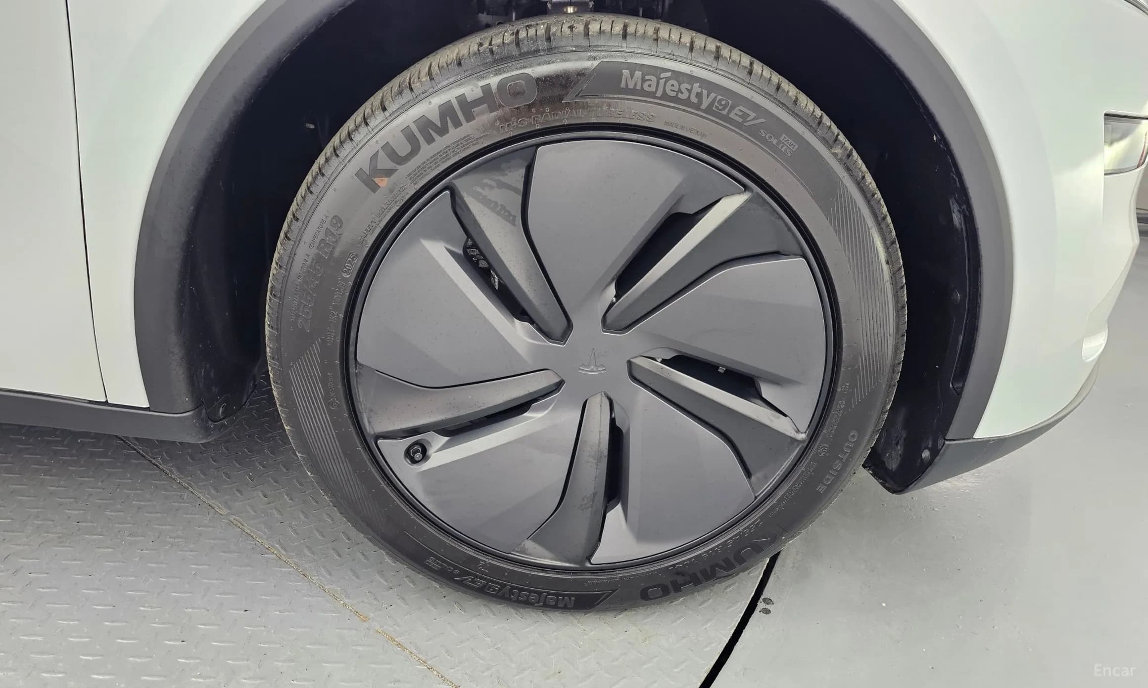 Model Y