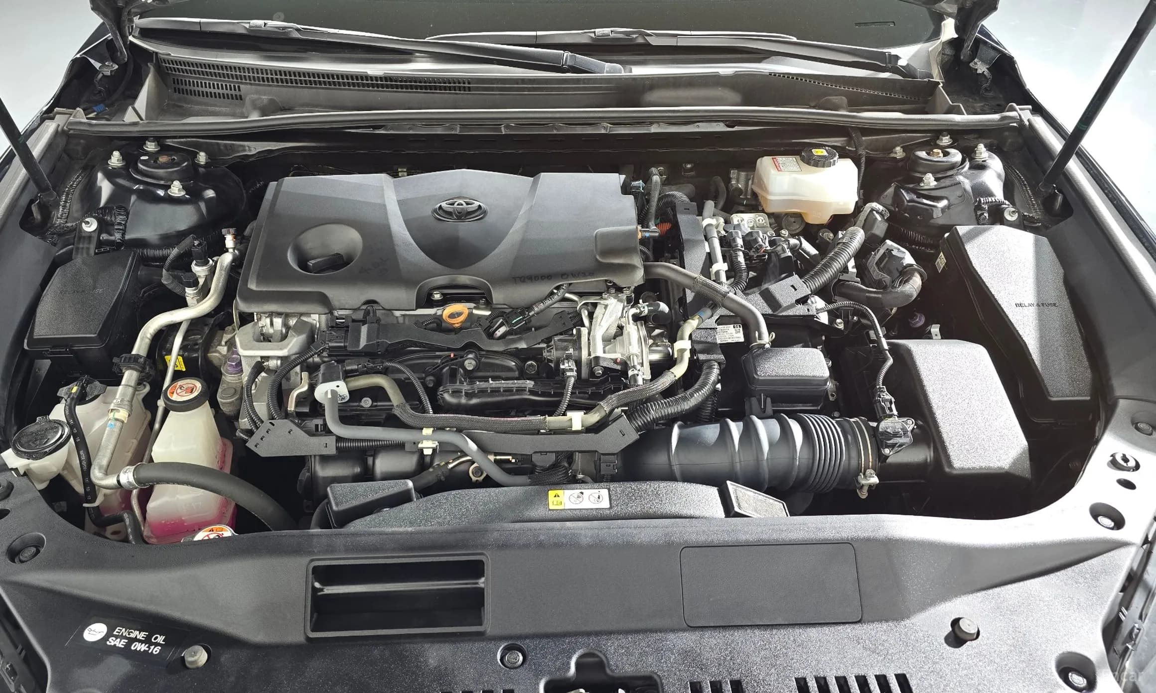 Avalon 5th Generation